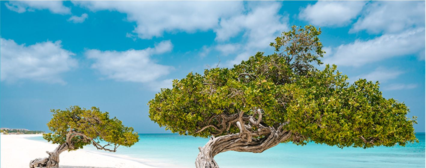 ARUBA VISITORS