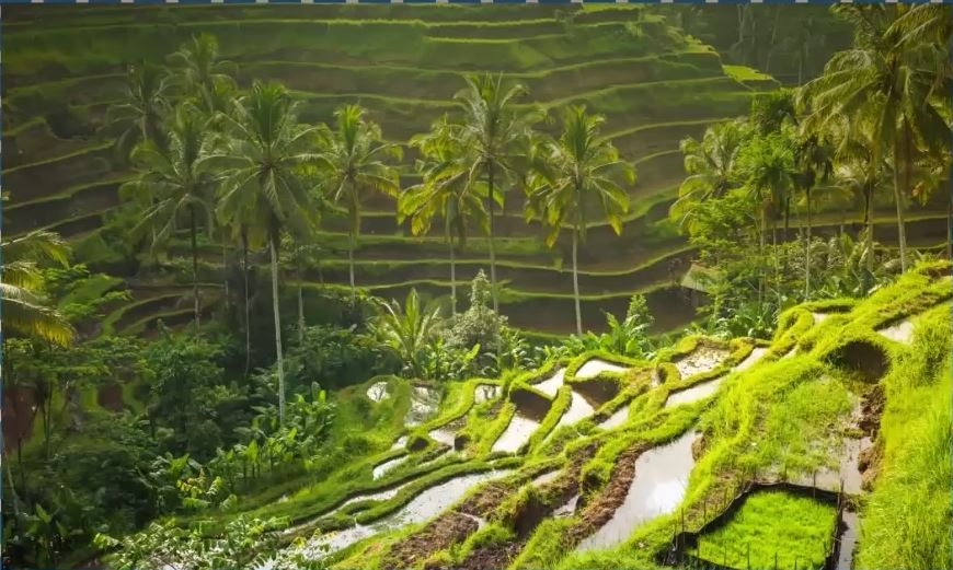 PLACES TO VISIT IN BALI